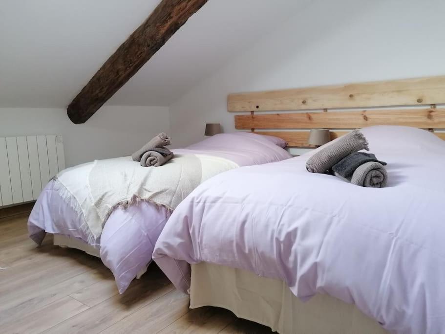 Gite L'Edelweiss 3* La Piarre 外观 照片