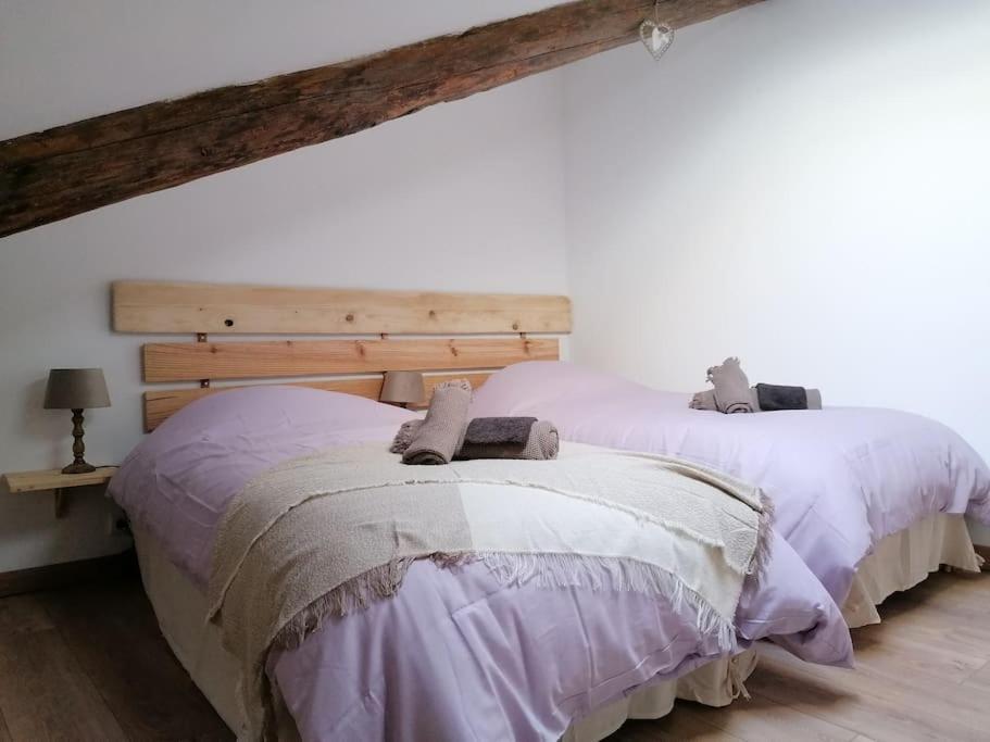 Gite L'Edelweiss 3* La Piarre 外观 照片